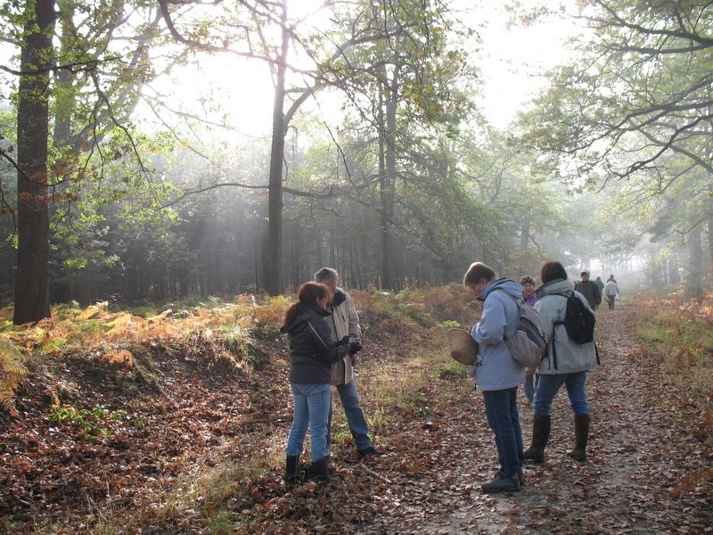 2006 11 Mycobocquet 15